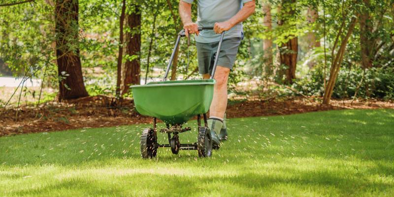 main of Using the Right Tips Can Make Lawn Care a Breeze